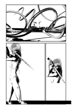 The Snowraven Chronicles #1 - Image 2