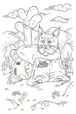 Dez Rat Coloring Book - Image 2