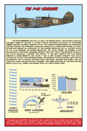 World War II Air Combat - Image 3