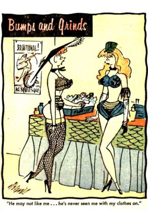 Monkey Business Funnies - Image 4