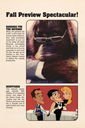 TV Snide - Image 2