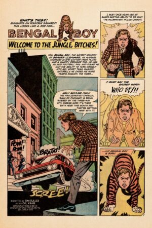 Sham Spotlite #5 - Image 4