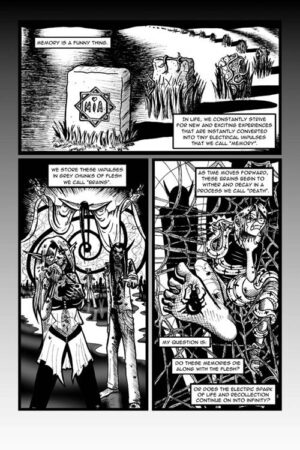 Ragdoll #1 - Image 2