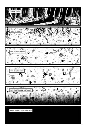 Ragdoll #3 - Image 2