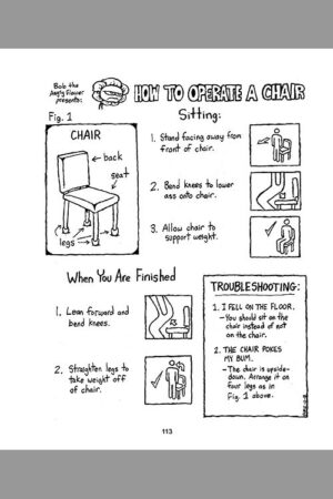 Bob The Angry Flower: How To Operate A Chair - Image 2