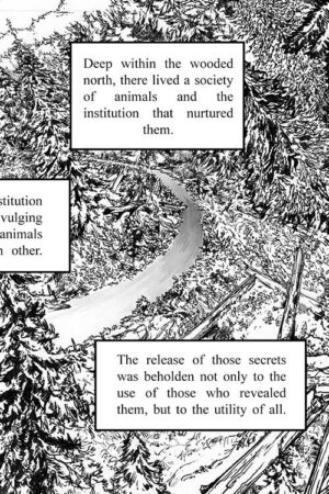The Tortoise & The Hare #1 - Image 2