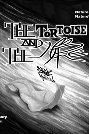 The Tortoise & The Hare #1